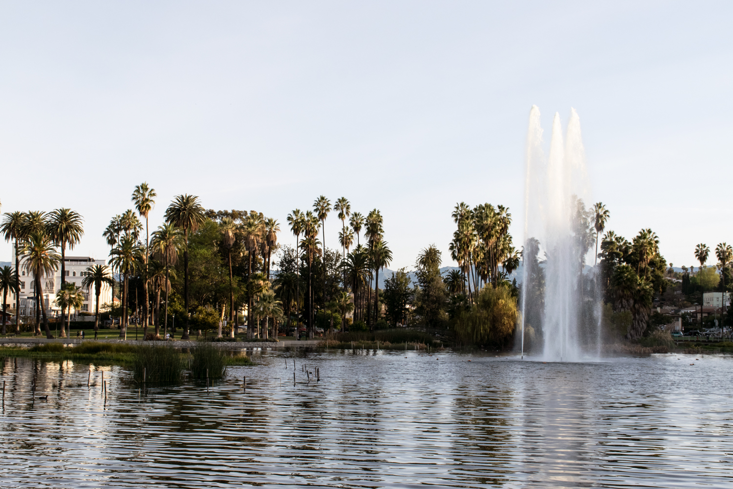 echopark_0122