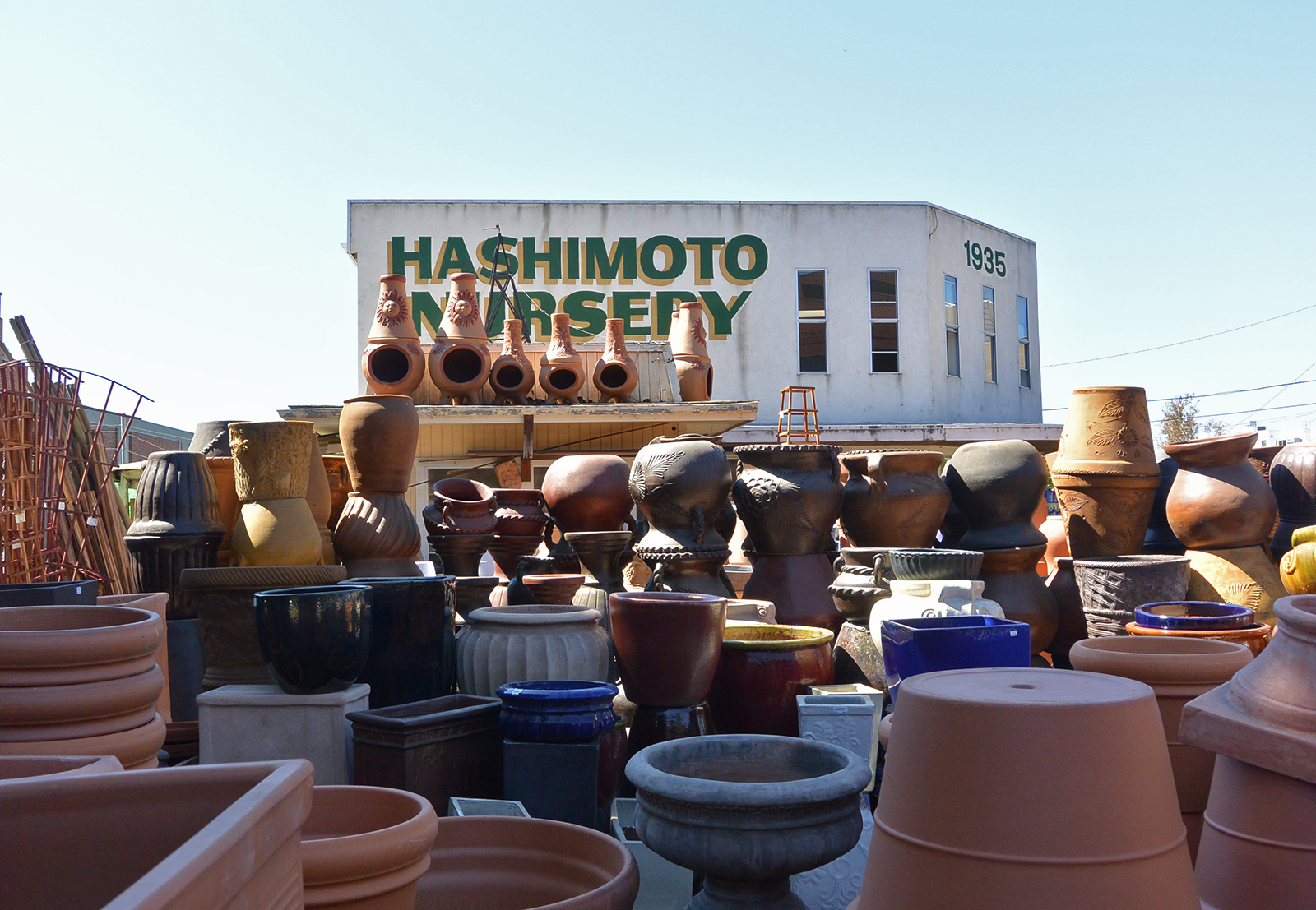 hashimotonursery